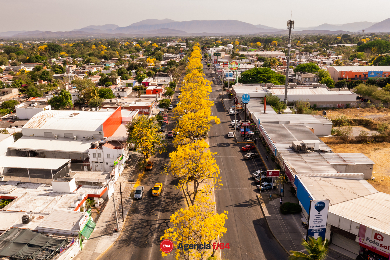 Primaveras en Colima, capital.