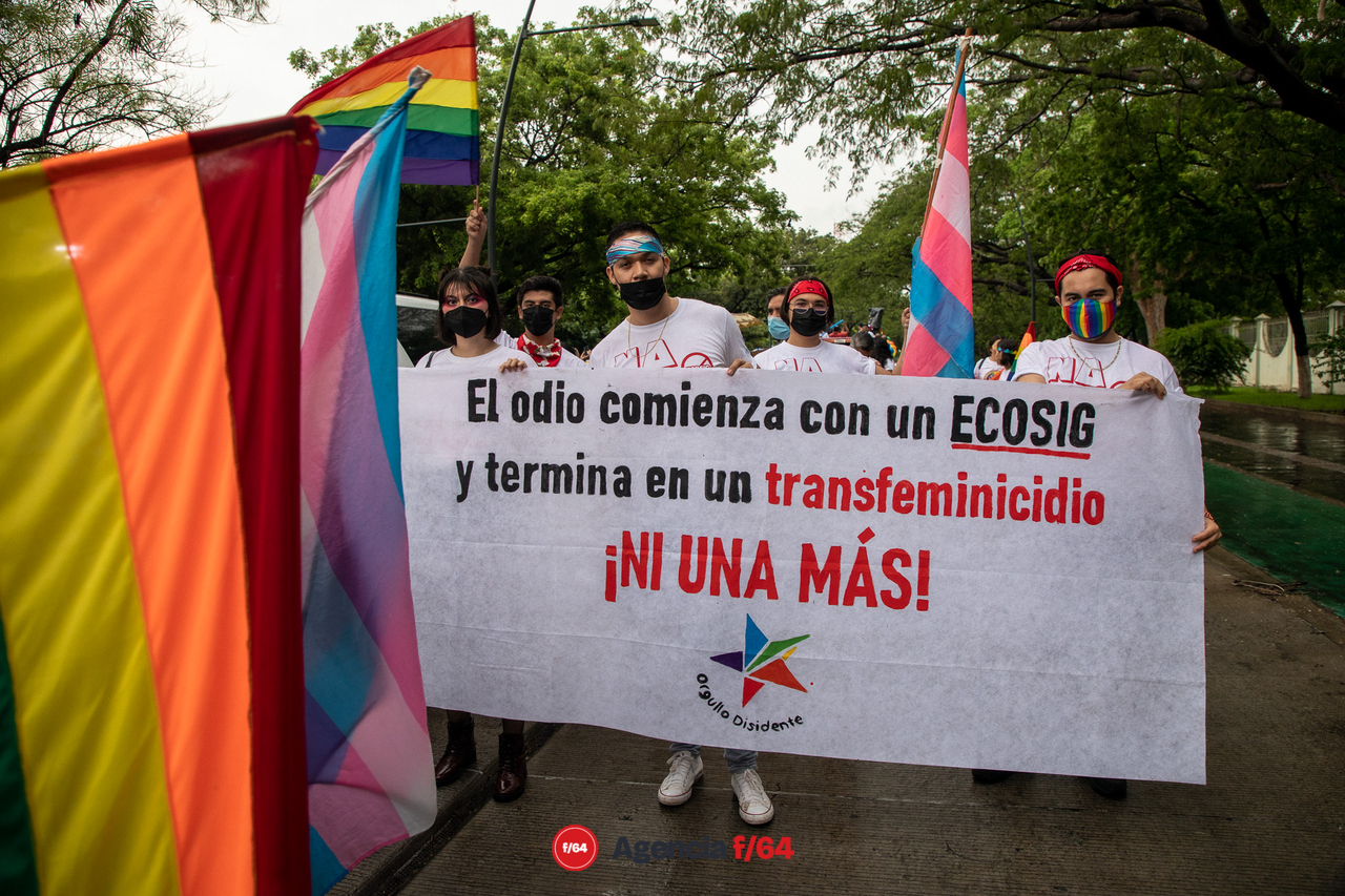 Defensa de los derechos, la orientación sexual e identidad de género.