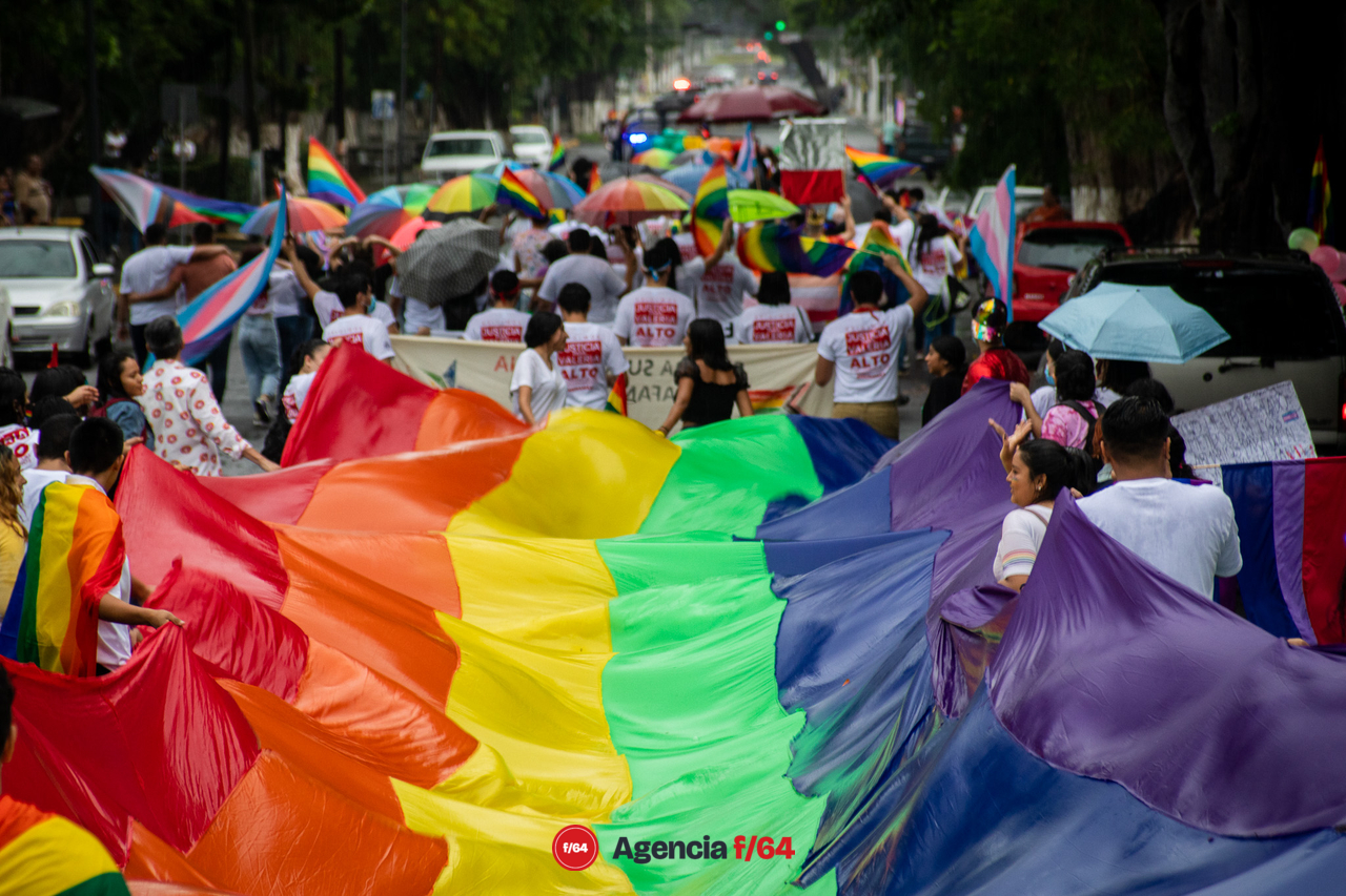 Defensa de los derechos, la orientación sexual e identidad de género.