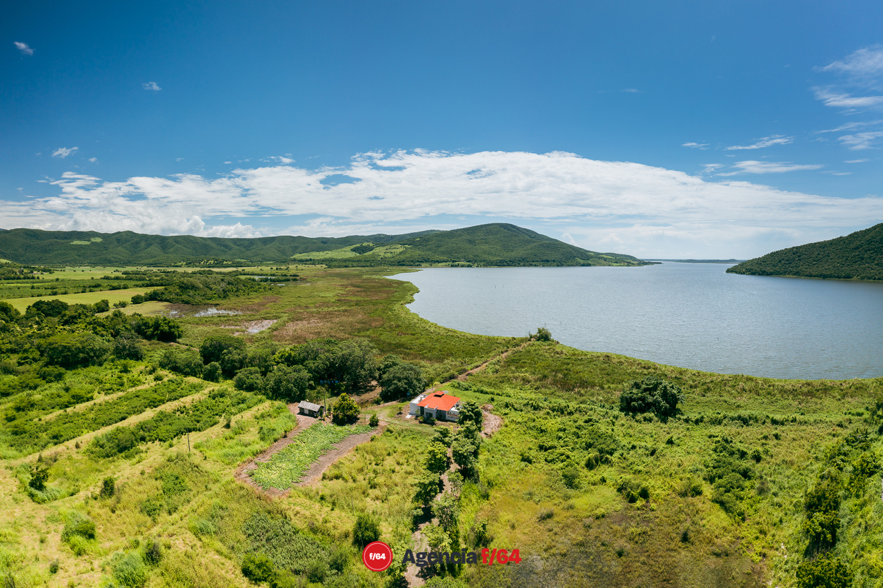 Vista de la laguna de Amela en el municipio de Tecomán.

Tecomán 2020

#LaDiaria