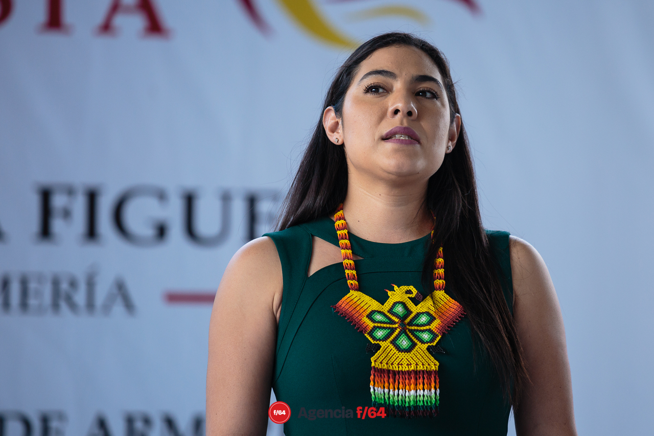 Gobernadora Electa, Indira Vizcaíno Silva