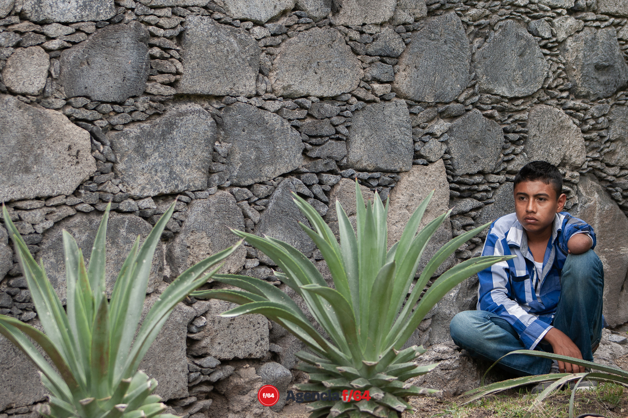 Niño observa el desarrollo de la fiesta de San Antonio.