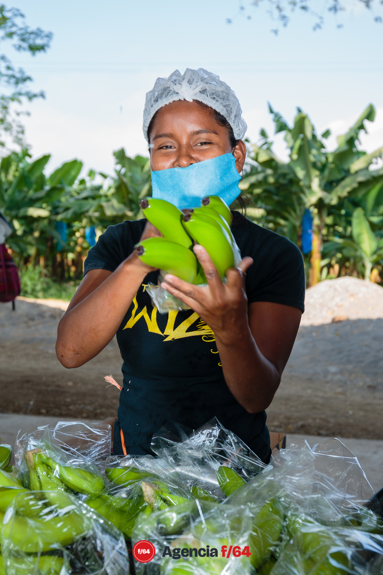 Migrante Chiapaneca trabajando en huerta de Plátano en Tecomán.