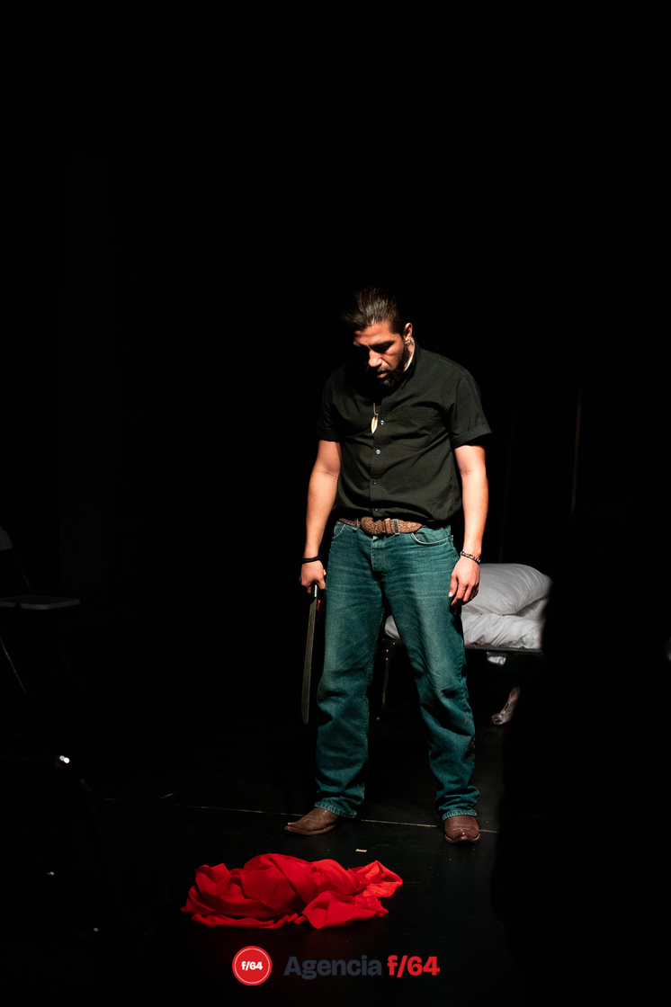 "La Casa de las Amapolas"
La Comuna Teatro.