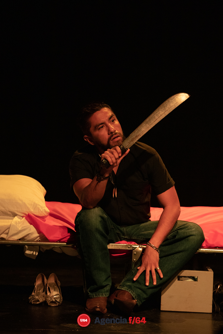 "La Casa de las Amapolas"
La Comuna Teatro.