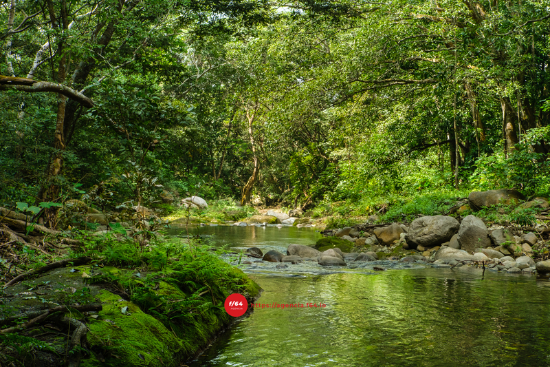 Una de las afluentes que conforman el río El Cacao en la comunidad de Canoas. Foto Mario Alberto Chávez