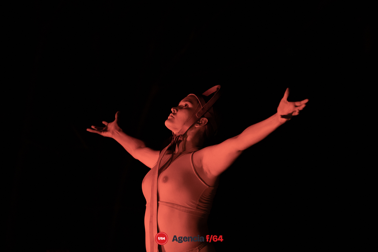 "La última danza"