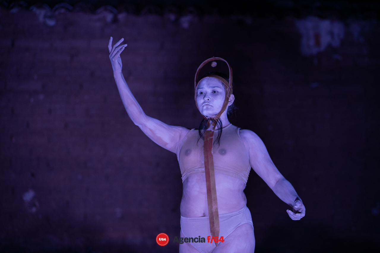 "La última danza"