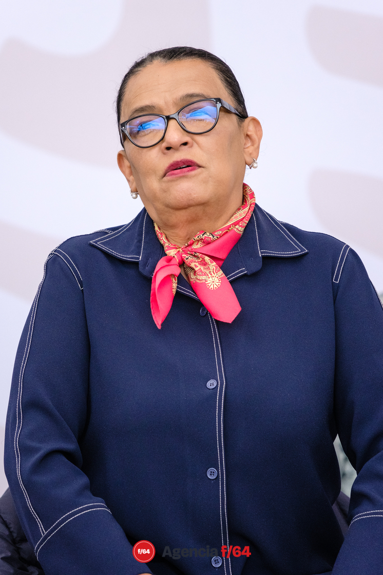 La Secretaria de Seguridad Rosa Icela Rodríguez Velázquez.