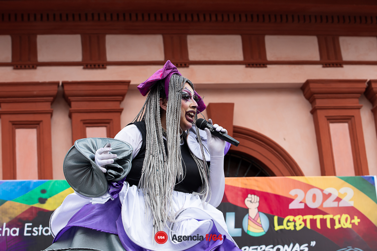 XVI Marcha del Orgullo, Colma.