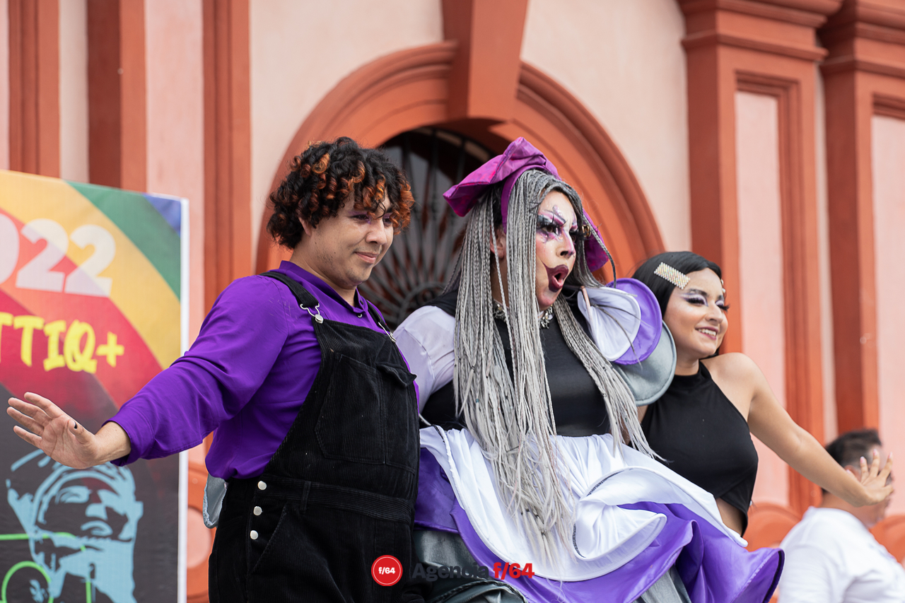 XVI Marcha del Orgullo, Colma.
