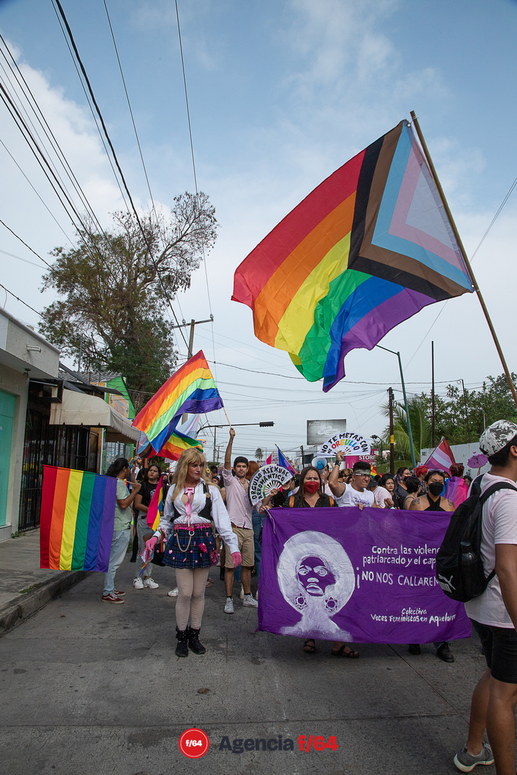 XVI Marcha del Orgullo, Colma.