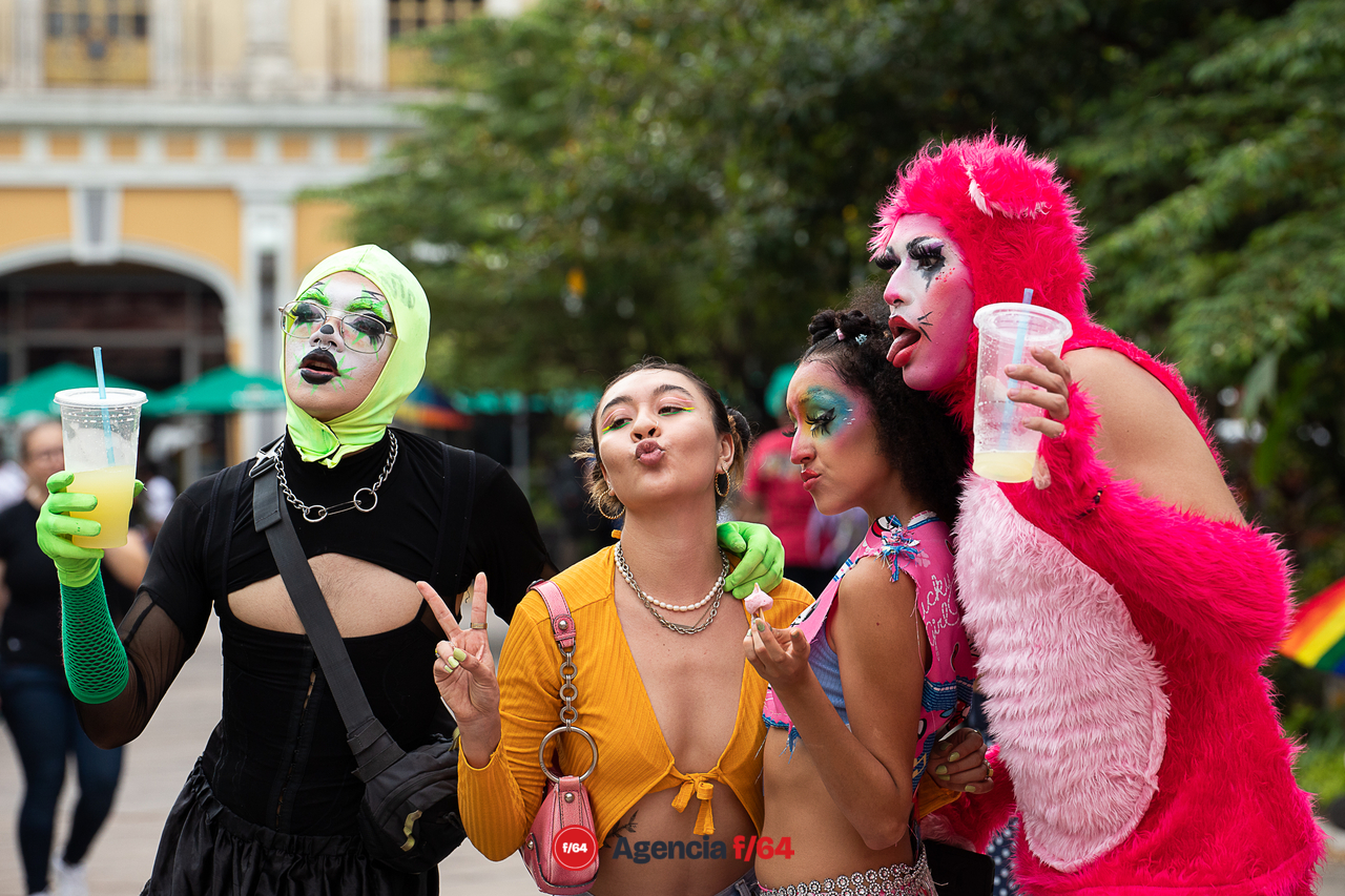 XVI Marcha del Orgullo, Colma.