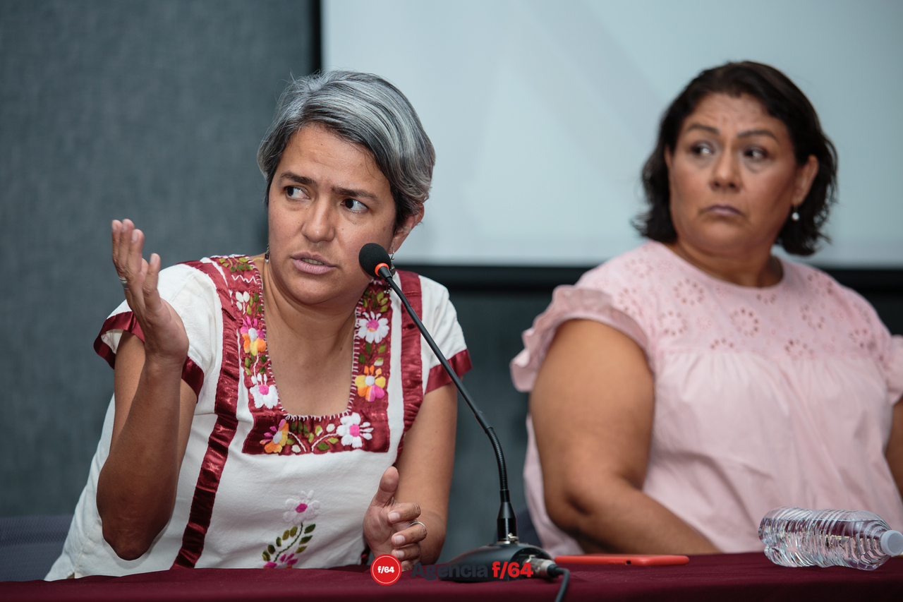 Karla Quintana Osuna, titular de la Comisión Nacional de Búsqueda de Personas Desaparecidas.