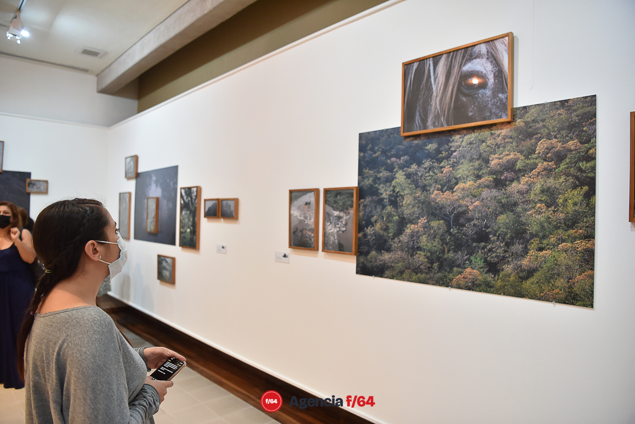 Mario Chávez.
Pinacoteca Universidad de Colima.

Foto: Javier Flores.