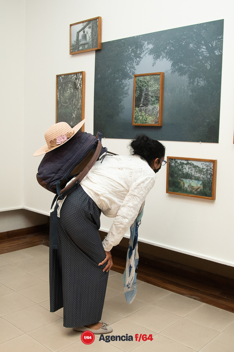 Mario Chávez
Pinacoteca Universidad de Colima.
