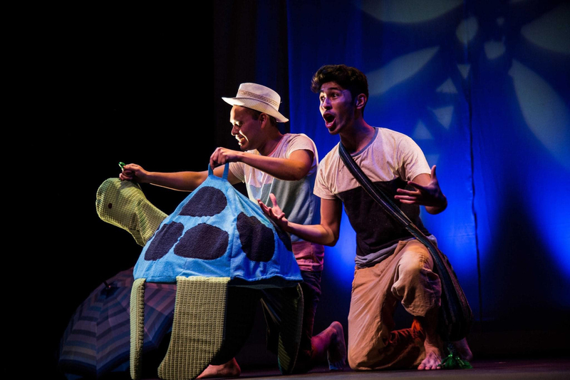 2 de Diciembre DICEN QUE LAS TORTUGAS NO SUEÑAN. Diagonal Teatro. (Jalisco)