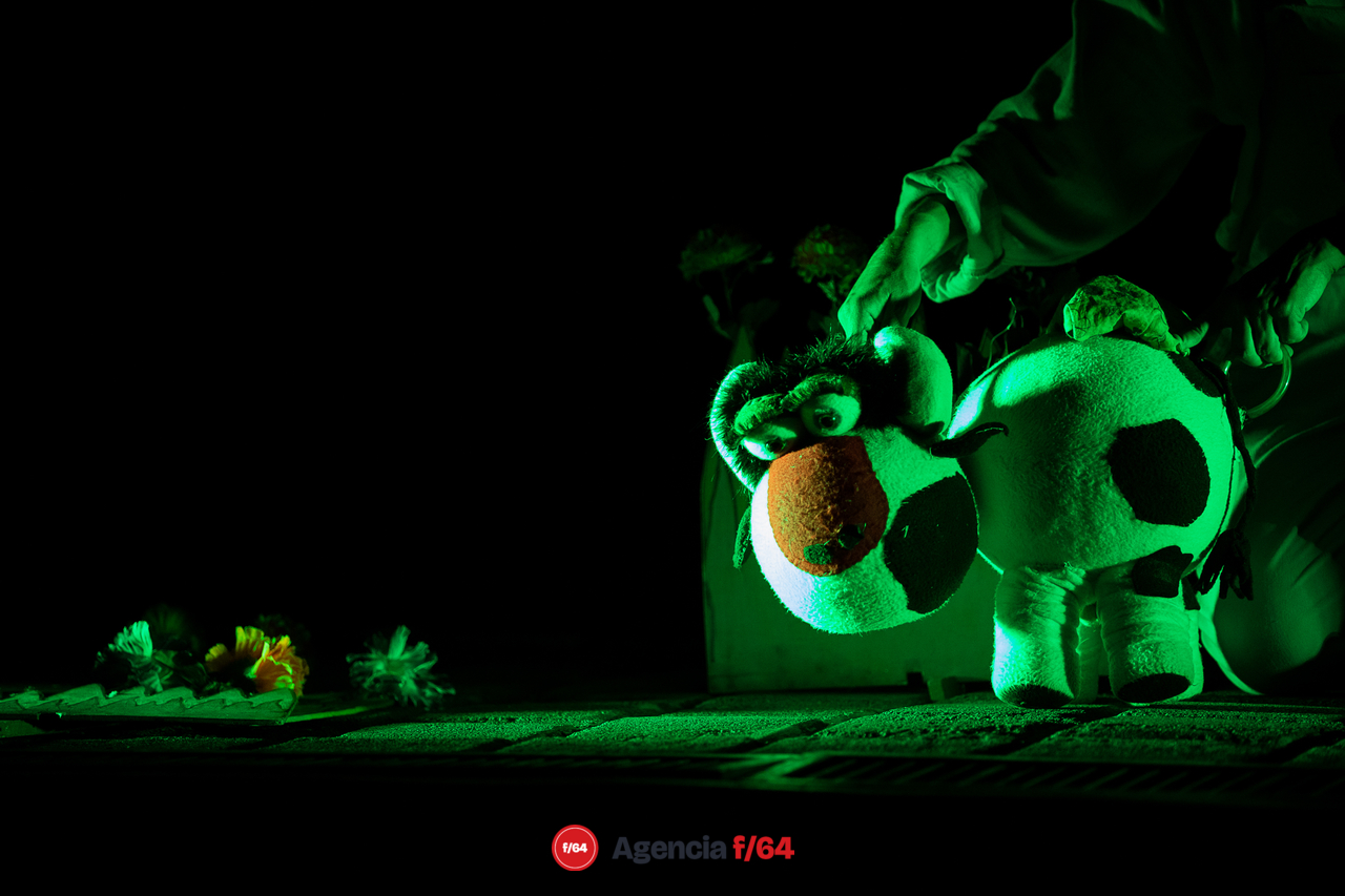 La vaca que se creía mariposa.
Teatro Demediado.
Casa Caracol.