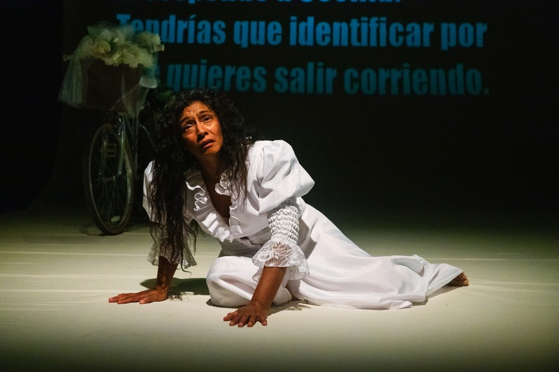 Carmen Solorio. Puente/Cicatriz. Foto: Mario Chávez.