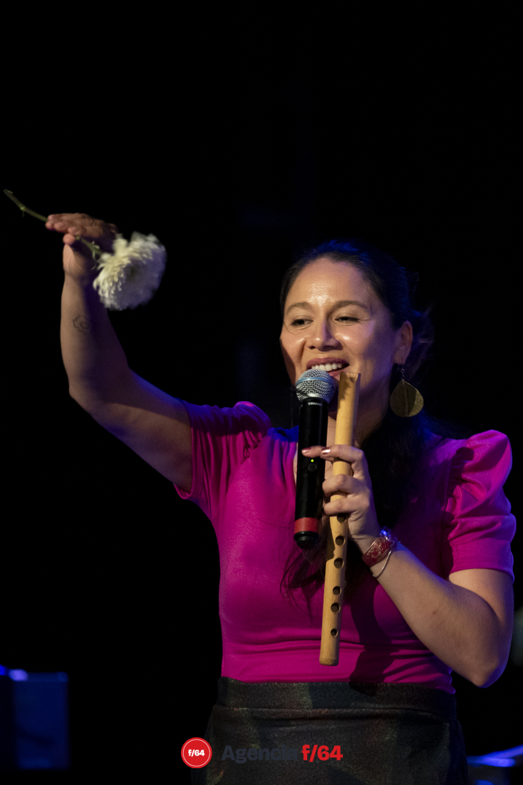 Soledad Ulloa en concierto.