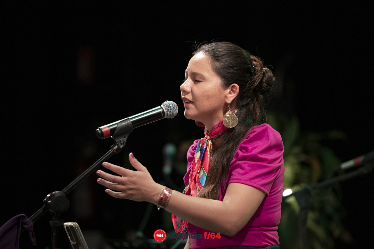 Soledad Ulloa en concierto.