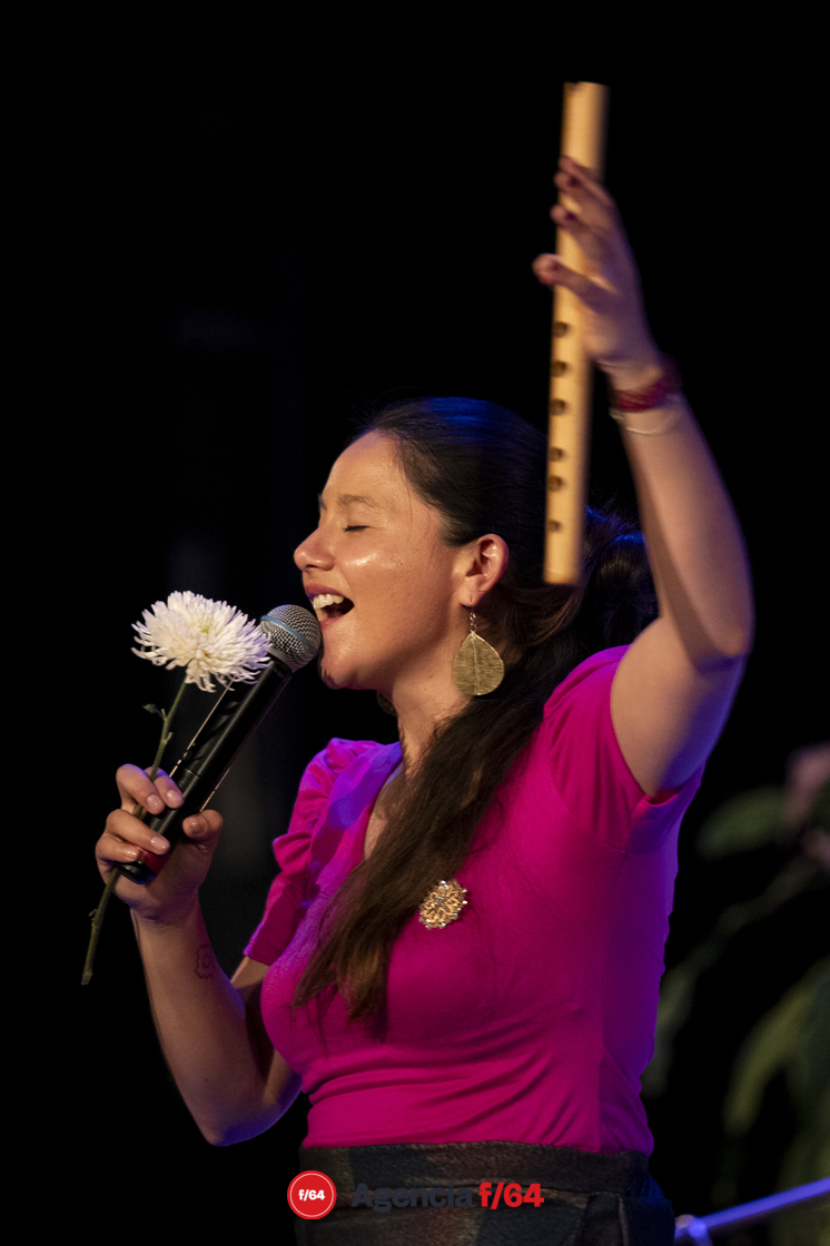 Soledad Ulloa en concierto.