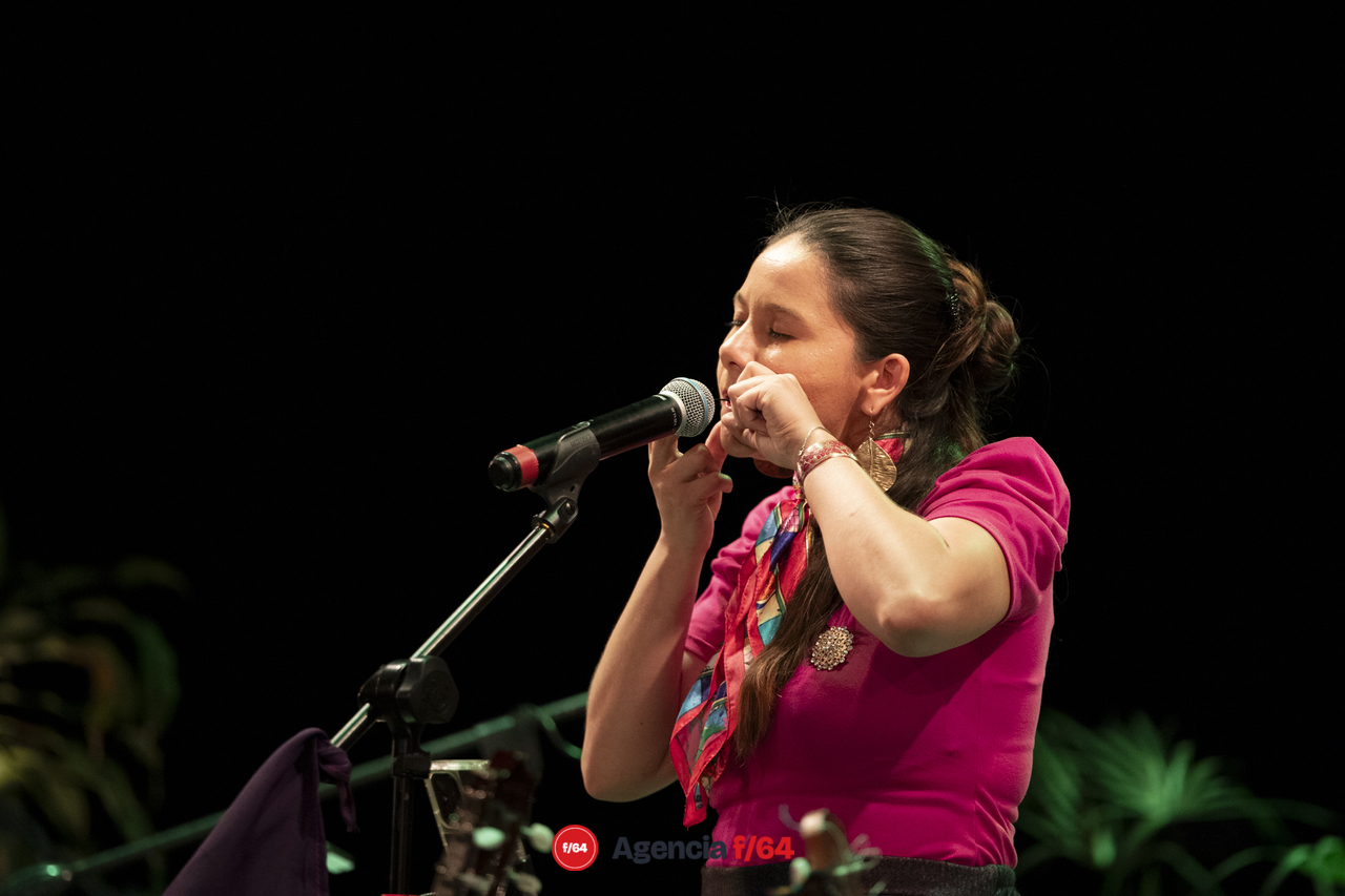 Soledad Ulloa en concierto.