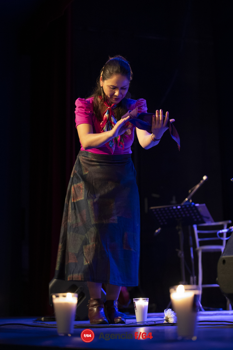 Soledad Ulloa en concierto.