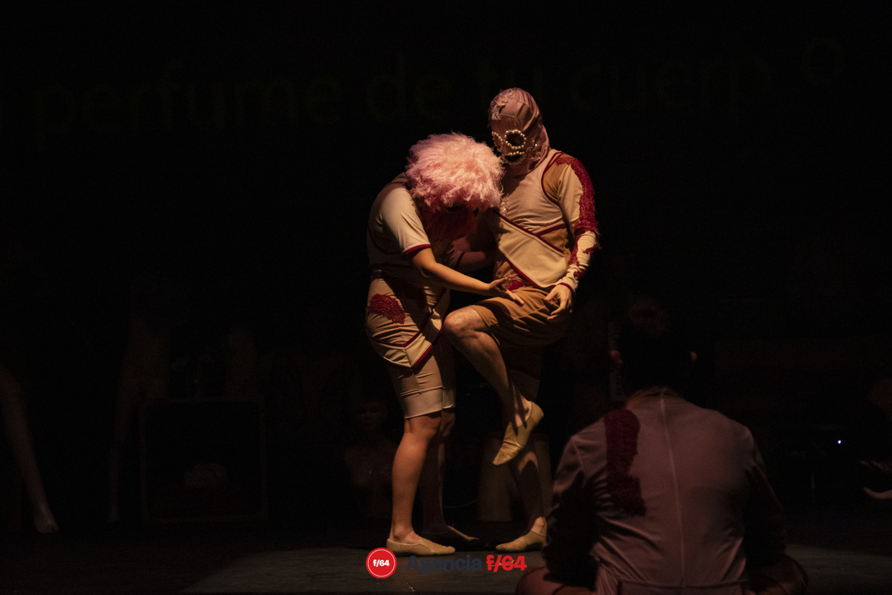 Raro: un mundo desde lo invisible.
Colectivo Teatral Pies Hinchados
34 Muestra Nacional de Teatro.
Teatro Experimental.
Guadalajara, Jalisco.