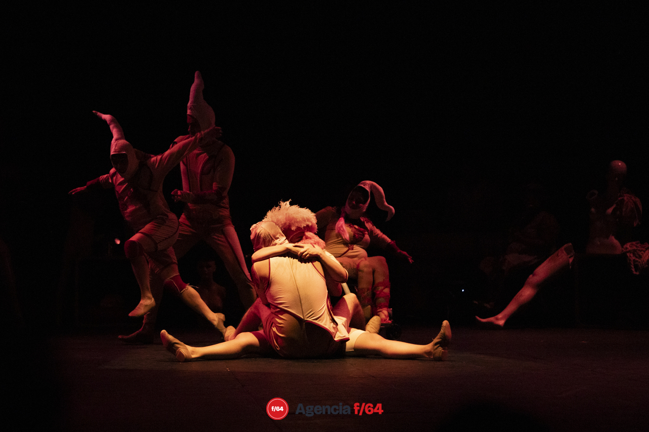 Raro: un mundo desde lo invisible.
Colectivo Teatral Pies Hinchados
34 Muestra Nacional de Teatro.
Teatro Experimental.
Guadalajara, Jalisco.