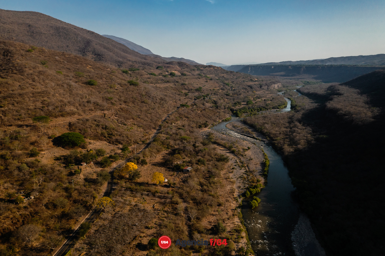 Cultivos de ciruela al costado de la carretera a Zacualpan Comala.