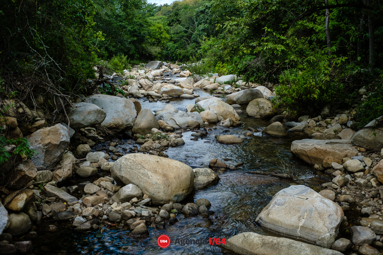 Uno de los afluentes de agua que bajan de los cerros y que más adelante conforma el río "El Cacao" que abastece de agua a las comunidades de Canoas, Puertecitos de Lajas, Llano de la Marina, Ciruelito, Cedros, Lomas de Ávila Camacho y Paticajo.