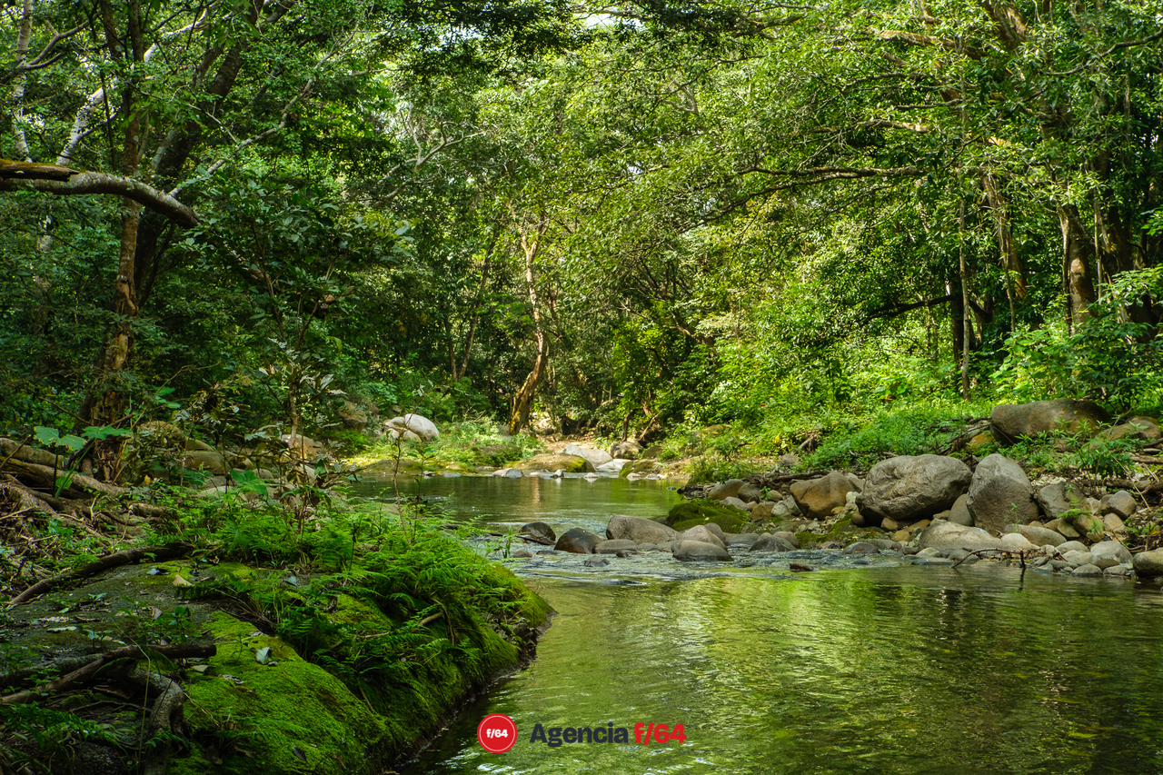 La comunidad de Canoas prefiere proyectos ambientales y ecológicos que promuevan la conservación de los espacios naturales.