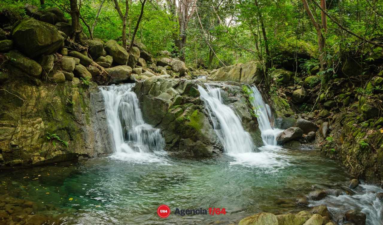 La comunidad de Canoas prefiere proyectos ambientales y ecológicos que promuevan la conservación de los espacios naturales.