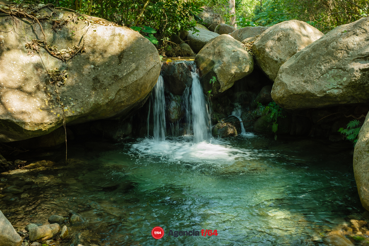 La comunidad de Canoas prefiere proyectos ambientales y ecológicos que promuevan la conservación de los espacios naturales.